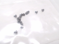 Amazon Fire HD 10 Screw Set, Late 2015