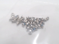 iPhone 6s Screw Set