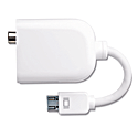 Apple Mini-DVI to Video Adapter