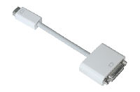 Apple Mini-DVI to DVI Adapter
