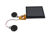 DS Lite Bottom LCD with Speakers