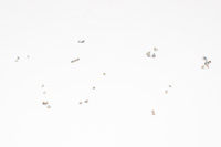 Replacement Full Screws Set with 2 Bottom Screws for Apple iPhone 5