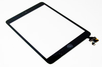 iPad mini Glass Digitizer Panel - Black