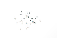 Google Nexus 10 Screw Set