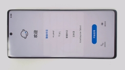 Honor 80 ANN-AN00 Cellphone (Prism 256GB 8GB) Unknown Carrier DualSIM CRACK