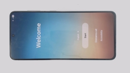 Samsung Galaxy S21 5G SM-G991U Cellphone (Gray 128GB 8GB) T-Mobile DualSIM