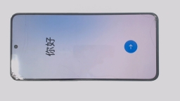 OnePlus Ace 2V PHP110 (Black 512GB 16GB) Unknown Carrier DualSIM CRACKED