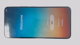 Samsung Galaxy S22+ SM-S906U Cellphone (Black 128GB 8GB) Verizon DualSIM