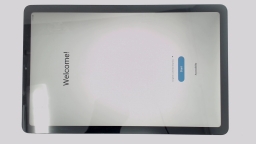 Samsung Galaxy Tab S6 Lite SM-P610 10.4" Tablet (Gray 64GB 4GB) WiFi BROWNLCD