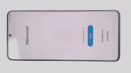 Samsung Galaxy S20 Ultra 5G SM-G988W (Gray 128GB 12GB) Unknown Carrier BURN