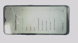 Oppo A9 2020 CPH1937 (Blue 128GB 8GB) Unknown Carrier CRACKED/BROWN LCD