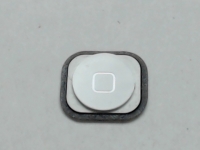 iPhone 5 Home Button, White