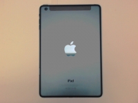 iPad mini WiFi + Cellular 4G Back Case, GSM, A1454, Slate