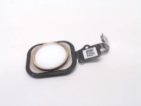iPhone 6 Home Button Assembly, Gold