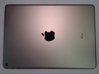 iPad Air 2 Back Case, WiFi, A1566, Gold